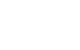 vichy vichy